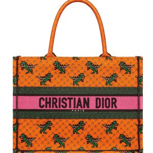 Christian Dior Small Dior Book Tote Orange