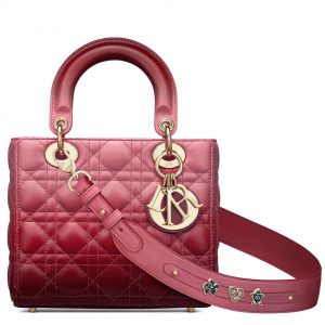 Christian Dior Lady Dior My Abcdior Bag