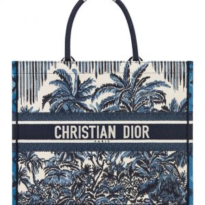 Christian Dior Book Tote Blue