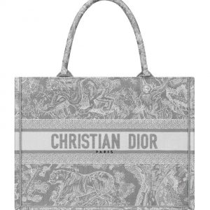 Christian Dior Small Dior Book Tote