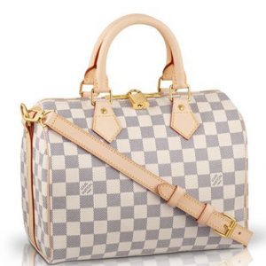 Louis Vuitton Damier Speedy N41000 White