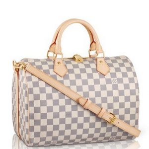 Louis Vuitton Damier Speedy N41001 White