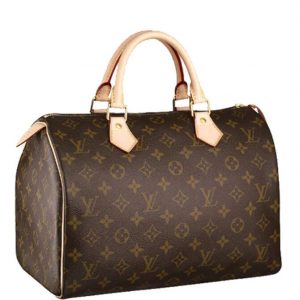 Louis Vuitton Speedy M41526 Brown