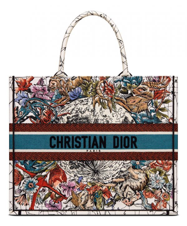 Christian Dior Book Tote Blue