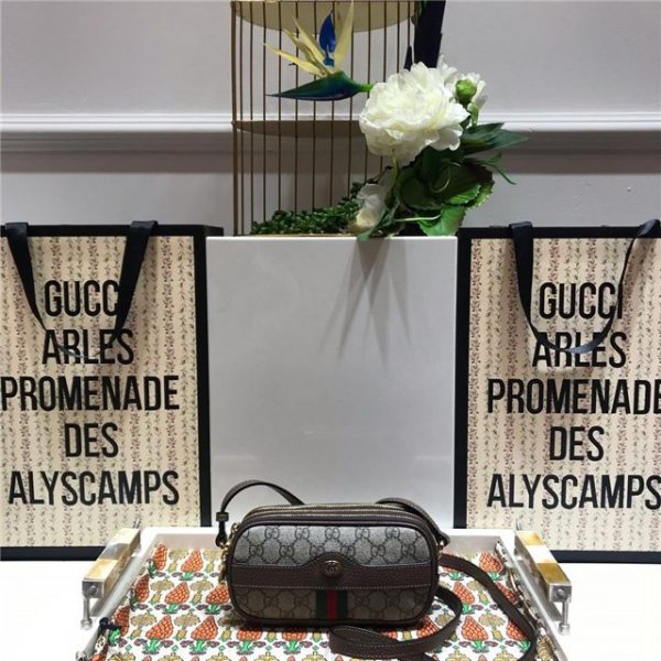 Gucci Ophidia mini GG bag